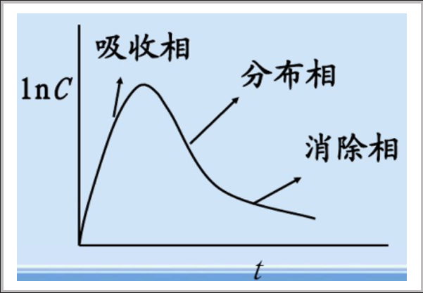 問(wèn)題解答|GastroPlus PK曲線預(yù)測(cè)偏差的調(diào)整與優(yōu)化的一般策略